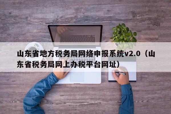 山东省地方税务局网络申报系统v2.0（山东省税务局网上办税平台网址）