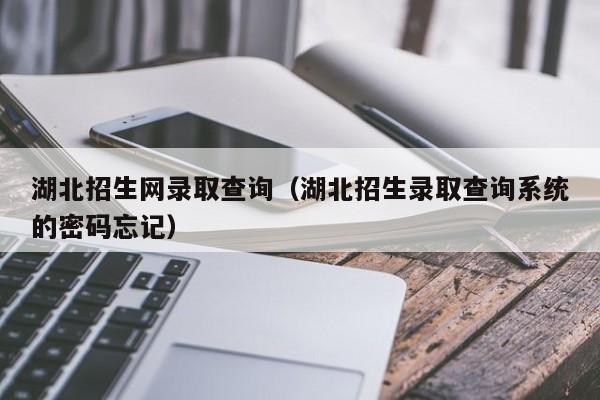 湖北招生网录取查询（湖北招生录取查询系统的密码忘记）