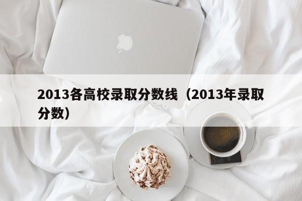 2013各高校录取分数线（2013年录取分数）