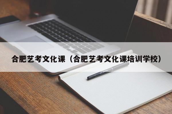 合肥艺考文化课（合肥艺考文化课培训学校）