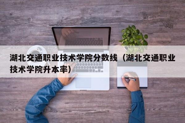 湖北交通职业技术学院分数线（湖北交通职业技术学院升本率）