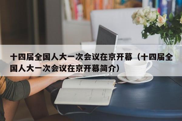 十四届全国人大一次会议在京开幕（十四届全国人大一次会议在京开幕简介）