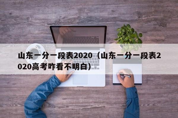 山东一分一段表2020（山东一分一段表2020高考咋看不明白）