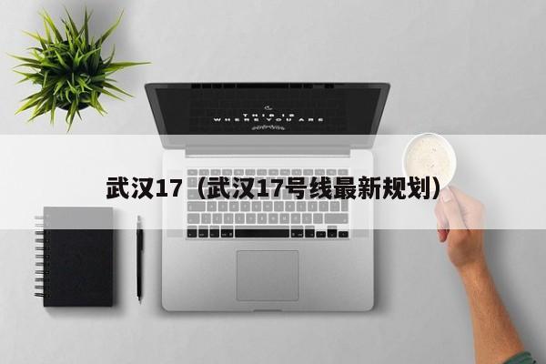 武汉17（武汉17号线最新规划）