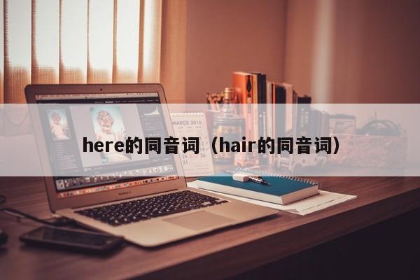 here的同音词（hair的同音词）