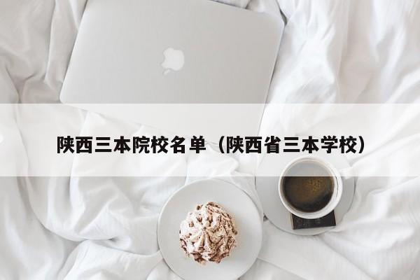 陕西三本院校名单（陕西省三本学校）