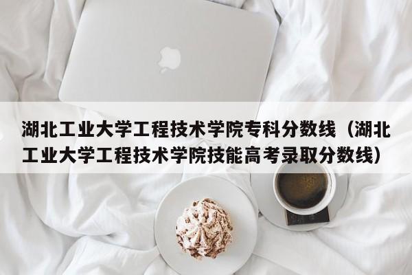 湖北工业大学工程技术学院专科分数线（湖北工业大学工程技术学院技能高考录取分数线）