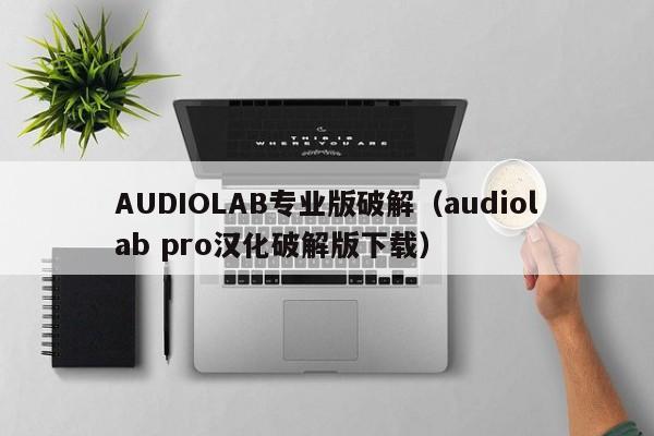 AUDIOLAB专业版破解（audiolab pro汉化破解版下载）