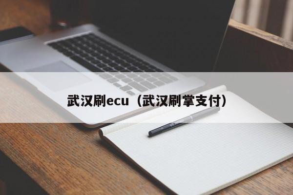 武汉刷ecu（武汉刷掌支付）