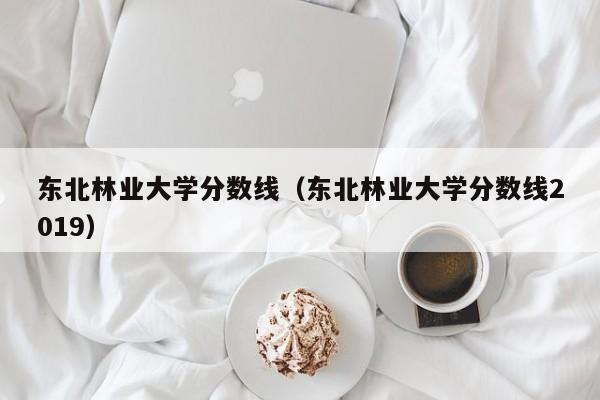 东北林业大学分数线（东北林业大学分数线2019）