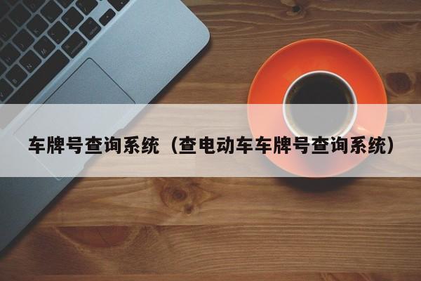 车牌号查询系统（查电动车车牌号查询系统）